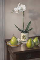 Orchids and Pears by Jeremiah Patterson